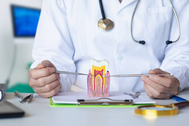 Best Emergency Root Canal Treatment in Ingram, PA